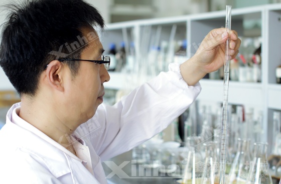 Polymetallic Ore Beneficiation Test